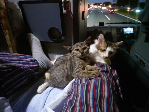 20221014_172747_copy_800x600