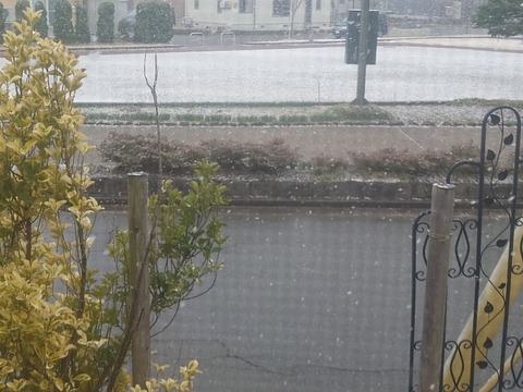 20240313_080414_copy_800x600