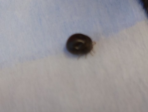 20220722_104717_copy_800x603