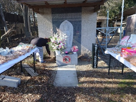 20240311_142119_copy_800x600