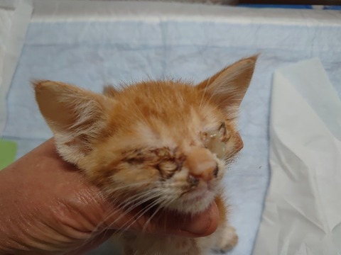 DSC_5975_copy_800x600