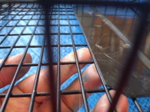 20260823_125721_copy_800x600