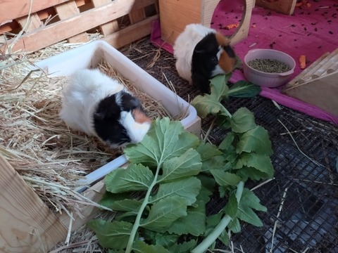 20260119_095436_copy_800x600