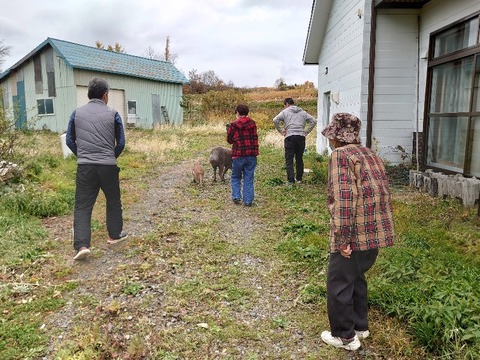 DSC_1846_copy_800x600