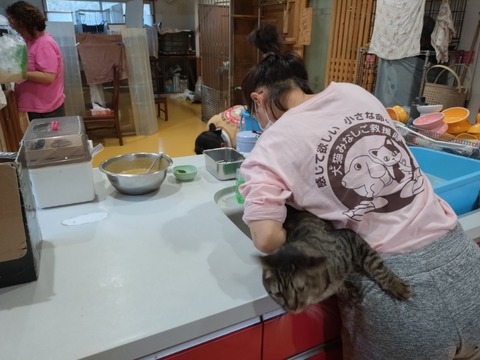 20260223_080641_copy_800x600_copy_800x600