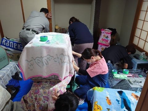 DSC_1044_copy_800x600