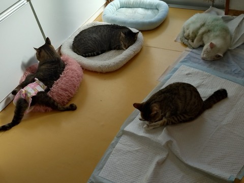 20251023_101517_copy_800x600