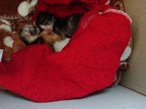 DSC_6100_copy_800x600