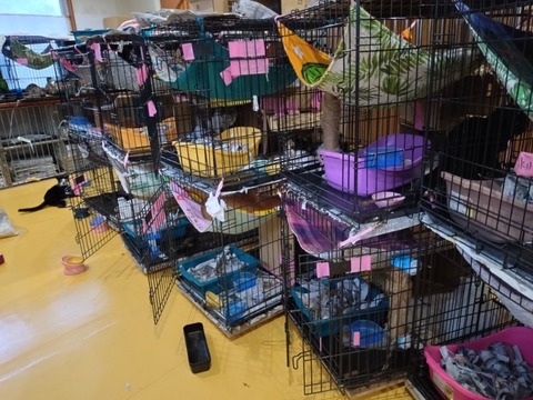 20260119_083546_copy_800x600