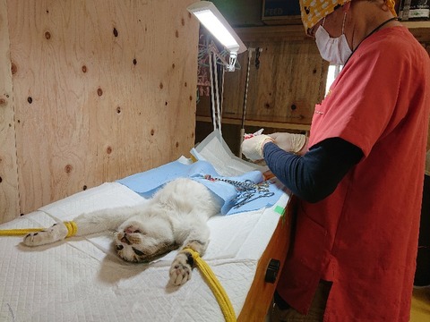 DSC_5847_copy_800x600