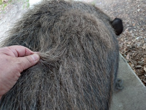 20260418_114527_copy_800x600