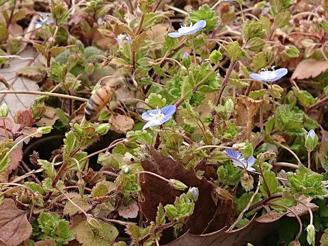 DSC_5889_copy_800x600