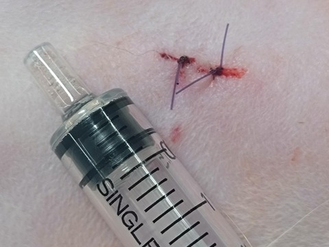 20260120_113443_copy_800x600