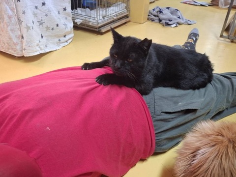 1768035986467_copy_738x554