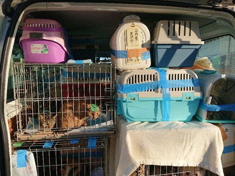 DSC_5730_copy_800x600