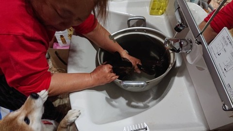 1547713710209-800x450