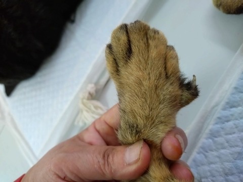 20251224_135439_copy_800x600