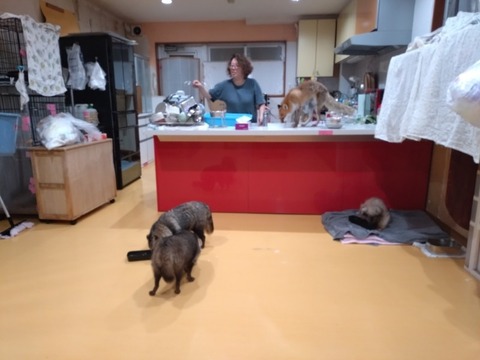 20260301_201455_copy_800x600