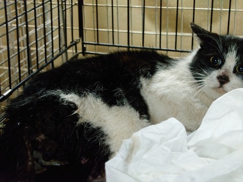 20230217_200856_copy_800x600