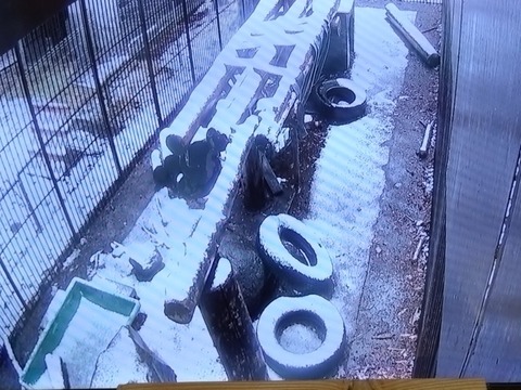 20260304_065617_copy_800x600