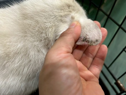 1765613766315_copy_738x554