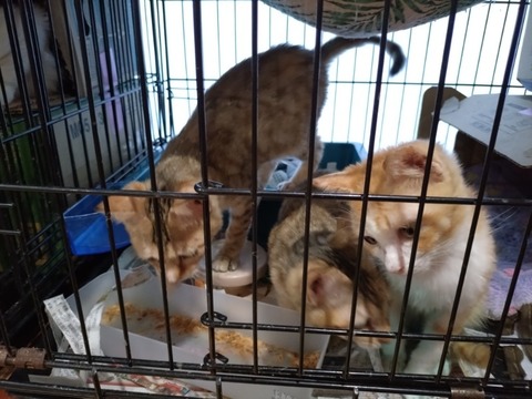 20260119_083253_copy_800x600