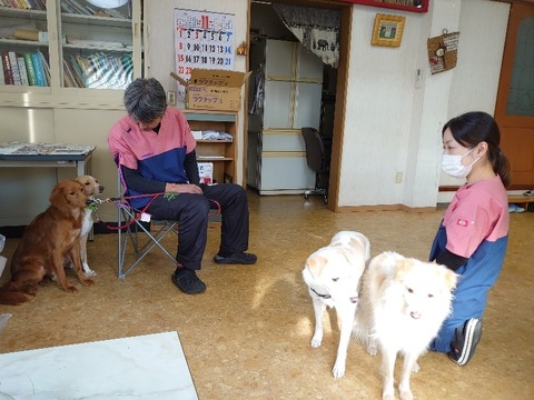 DSC_1239_copy_800x600