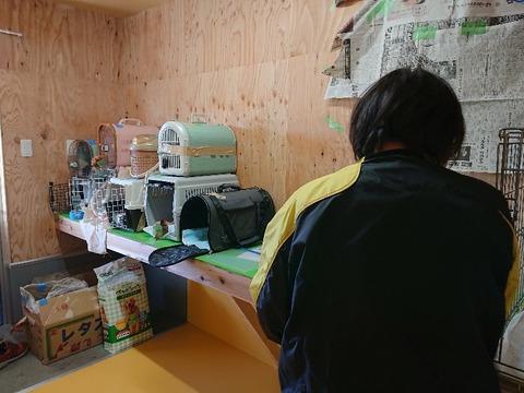 DSC_5724_copy_800x600