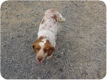 IMG_0787
