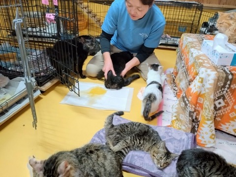 20260304_080824_copy_800x600