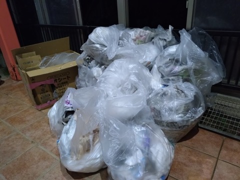 20250625_204150_copy_800x600