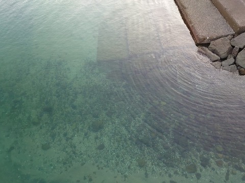 DSC_0625_copy_800x600