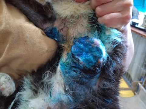 20250620_132257_copy_800x600