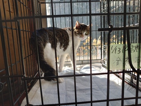 DSC_1540_copy_800x600