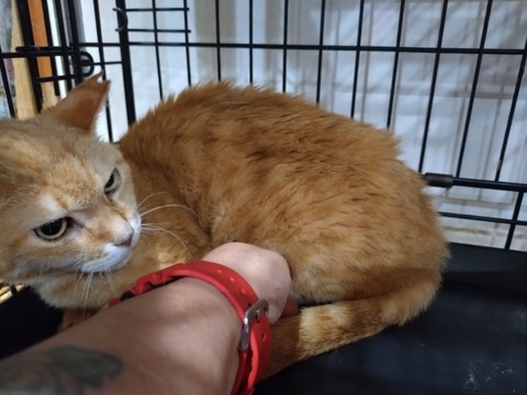 20251019_182846_copy_800x600