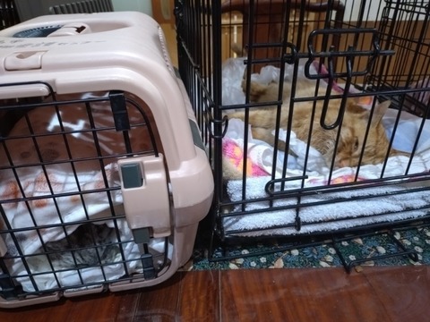 20260126_195811_copy_800x600