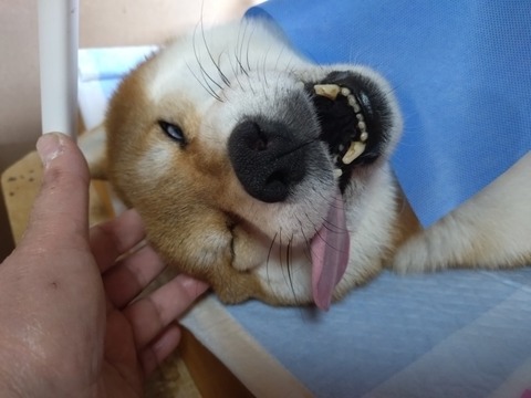 20260222_144448_copy_800x600