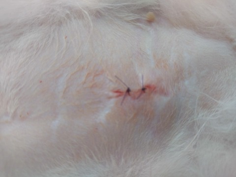 20251214_103849_copy_800x600