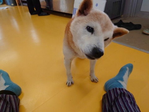 20240305_140048~2_copy_800x600