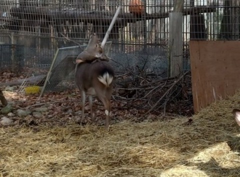 20251223_114731_copy_800x592