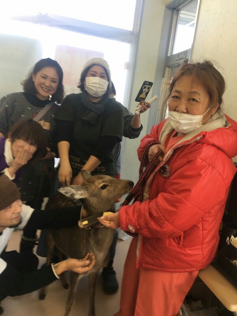 1516870273124-600x800