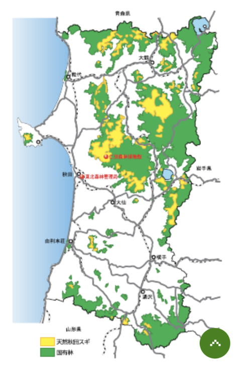 Screenshot_20240314-082613_copy_600x909