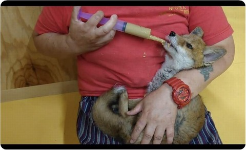 Screenshot_20230612-184257_copy_1080x660