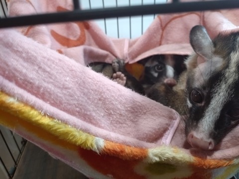 20241130_153416_copy_800x600