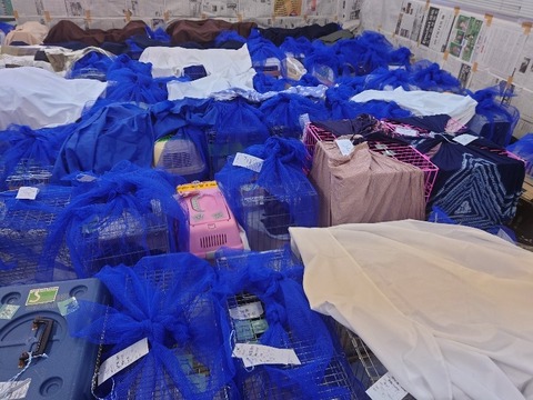 20220725_080148_copy_800x600