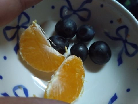 20260118_070043_copy_800x600