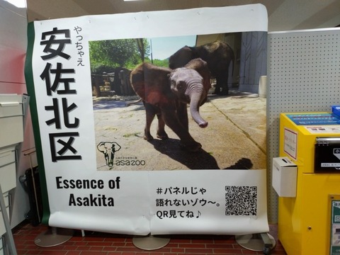 20260129_103617_copy_800x600