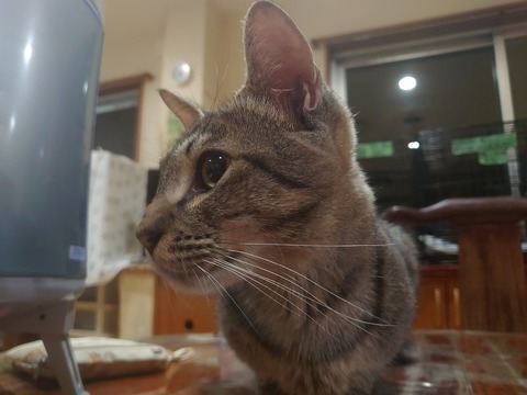 DSC_1663_copy_800x600