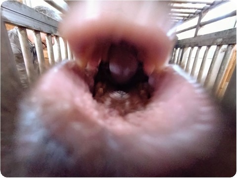 20250302_072436