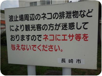 DSCN1549